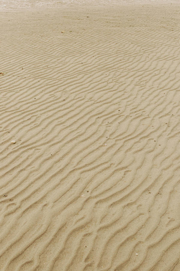 Sandy Beach Iphone Wallpaper