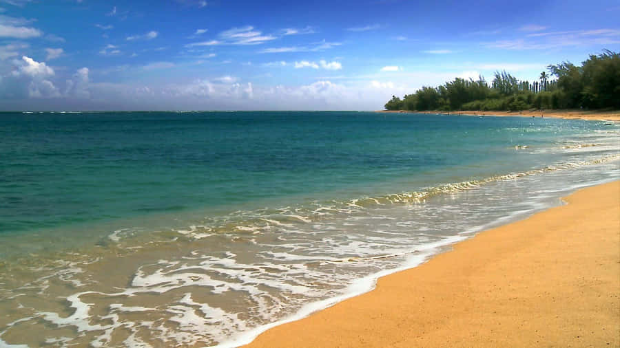 Sandy Beach Waves Hawaii Aesthetic Wallpaper