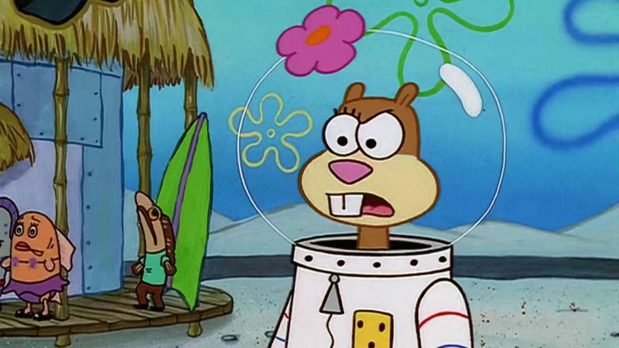 Sandy Cheeks Spongebob Squarepants Wallpaper