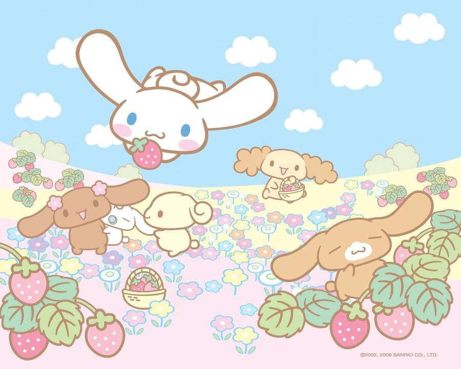 Sanrio Cinnamoroll And Cinnamoangels Wallpaper