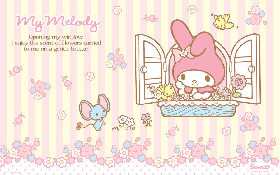 Sanrio My Melody And Flat Wallpaper