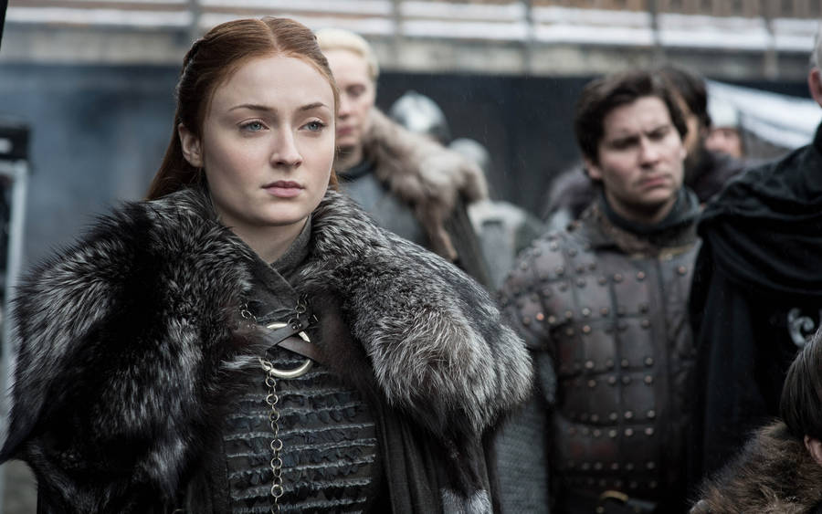 Sansa Stark Preparing For Battle Wallpaper