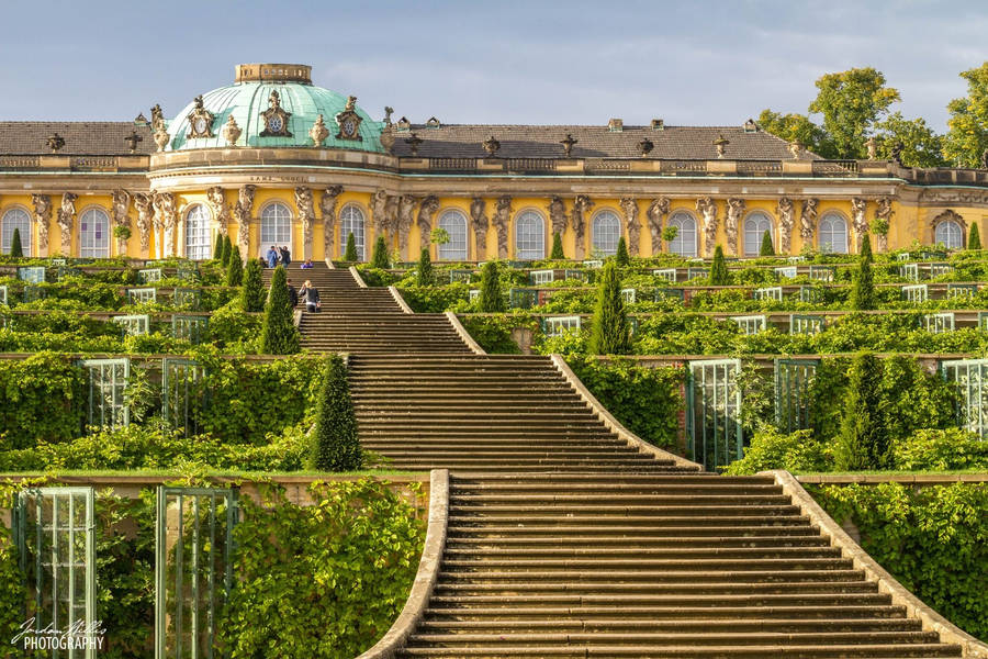 Sanssouci Park Long Staircase Potsdam Wallpaper