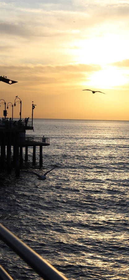 Santa Monica Pier View Wallpaper