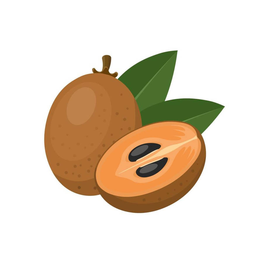 Sapodilla Fruits Animation Wallpaper