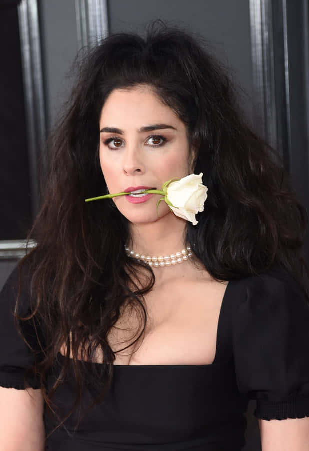 Sarah Silverman Smiling At A Photoshoot Wallpaper