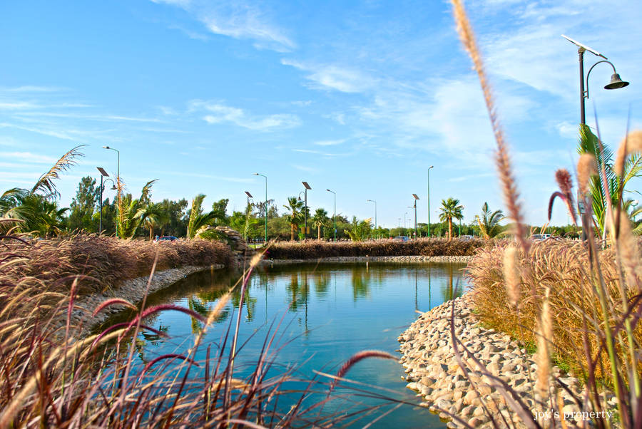 Saudi Arabia Yanbu Lake Wallpaper