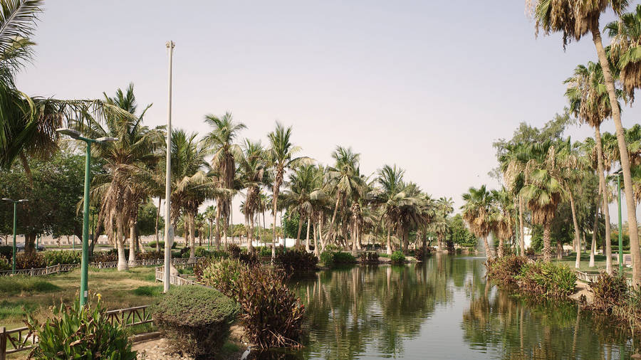 Saudi Arabia Yanbu Park Wallpaper