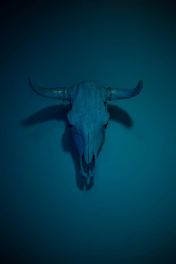 Scary Skulls Of A Bull On Wall Wallpaper