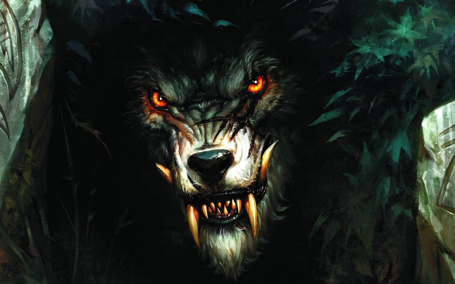 Scary Werewolf Face Scars Wallpaper