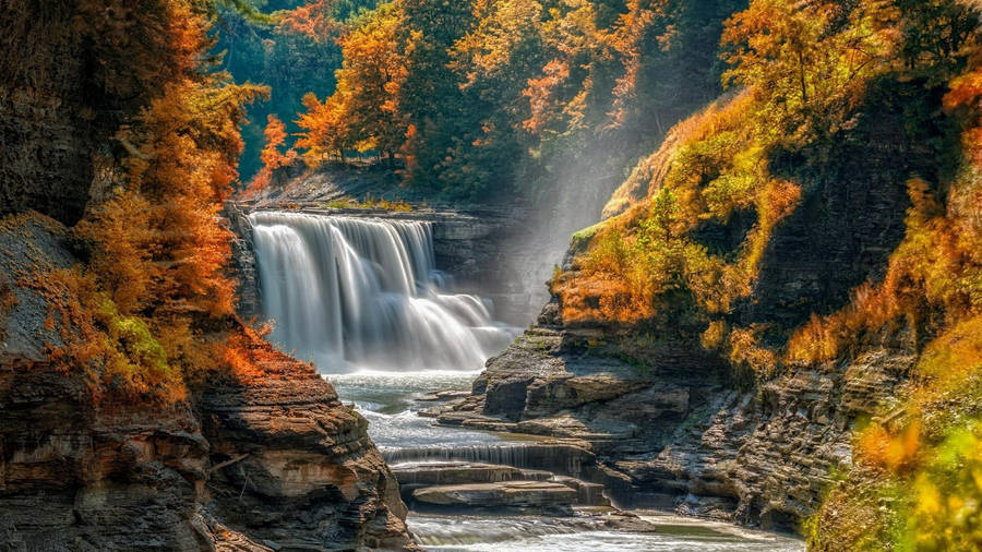 Scenic Beauty Of Letchworth State Park, New York Wallpaper