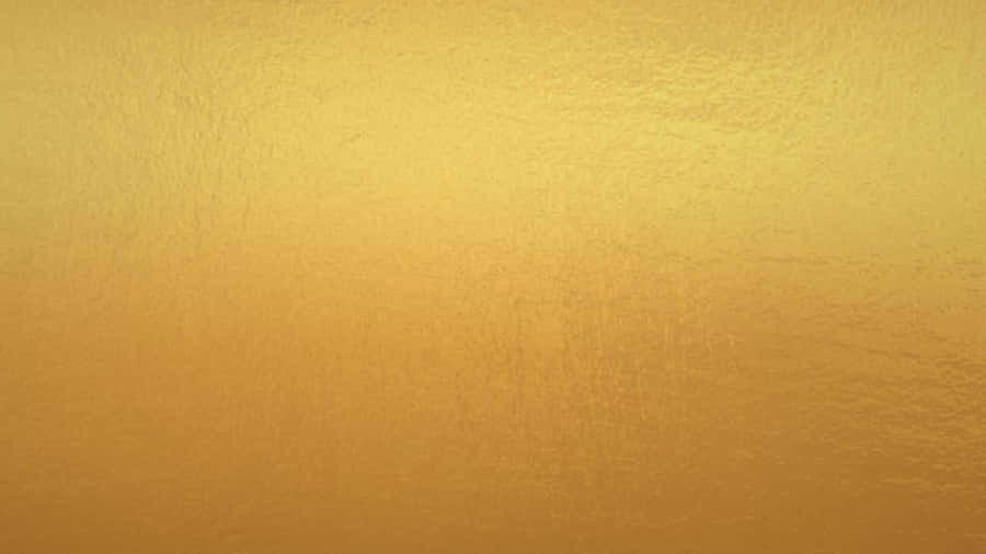 Scenic Landscape With Beautiful Sunlight Wallpaper