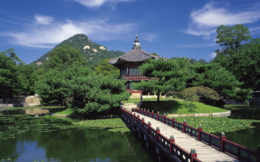 Scenic Tranquility At The Pavilion In Jeju Island Wallpaper