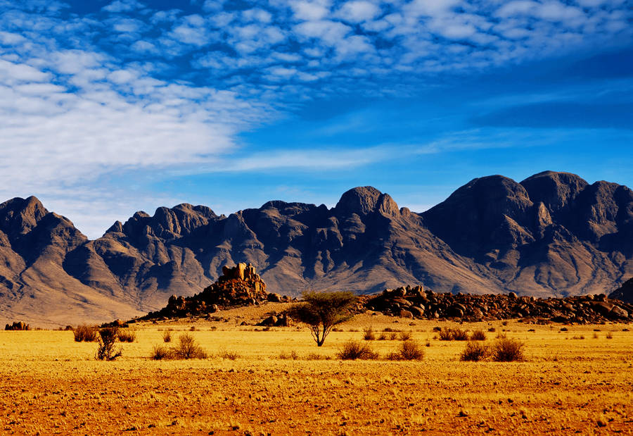 Scenic View Of A Western Desert Landscape Against Mountain Backdrop Wallpaper