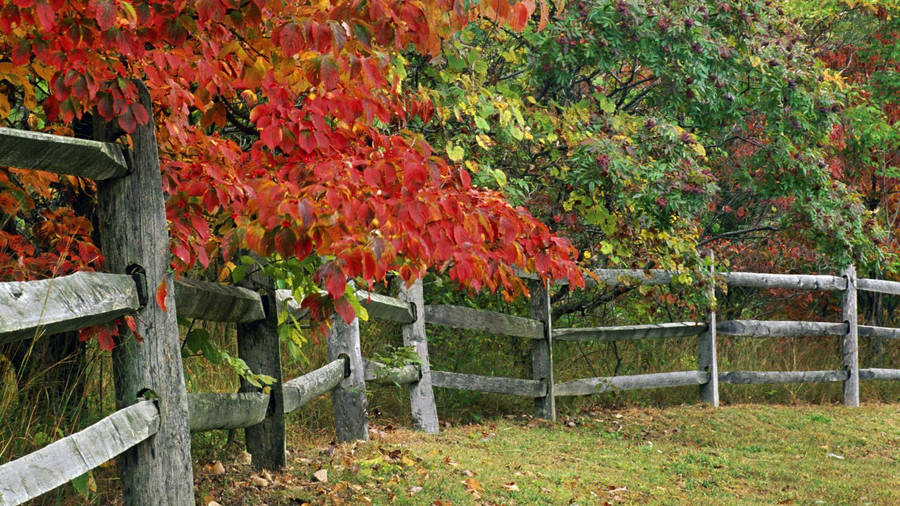 Scenic View Of Brown County State Park, Indiana Wallpaper