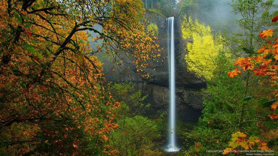 Scenic View Of Multnomah Falls In Oregon Wallpaper