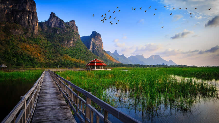 Scenic Wetlands Wooden Path Thailand Wallpaper