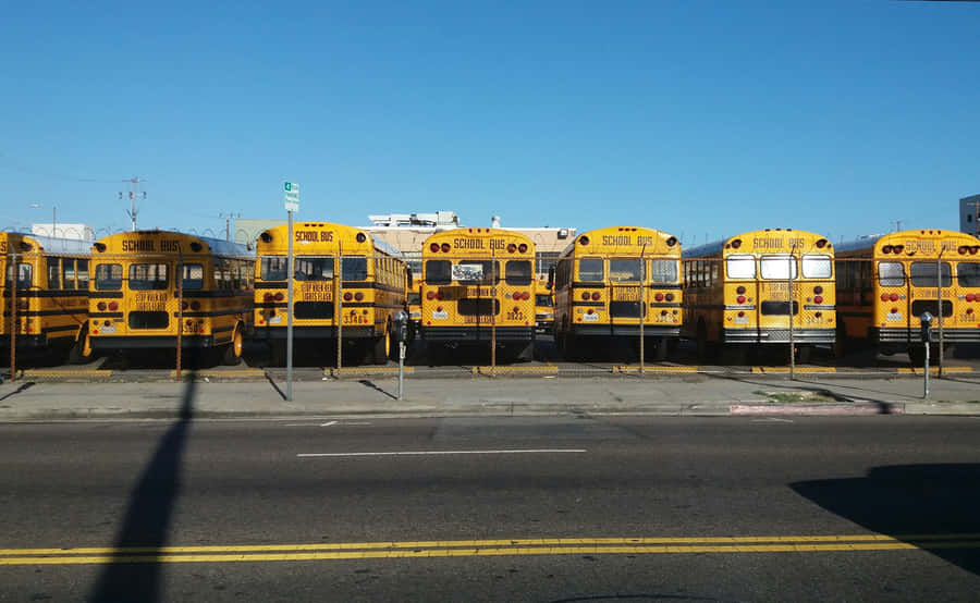School Bus Parking Space Wallpaper