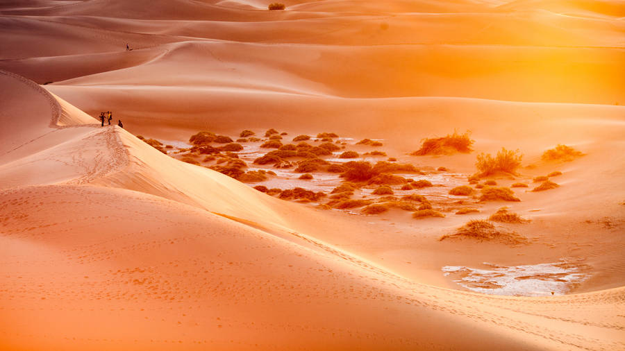 Scorching Desert Death Valley Wallpaper