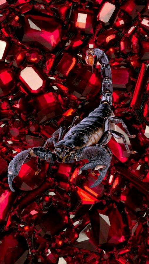 Scorpion Black On Red Aesthetic Gems Wallpaper