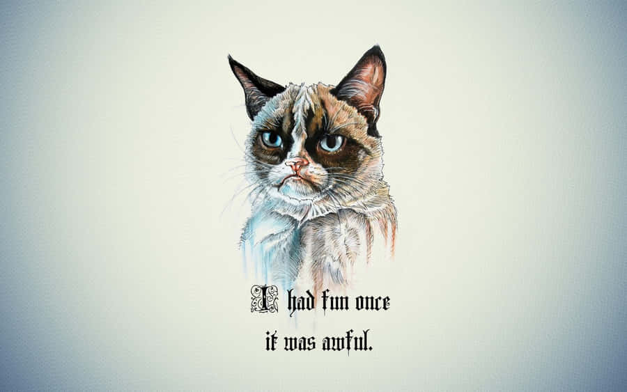 Scruffy Grumpy Cat Wallpaper