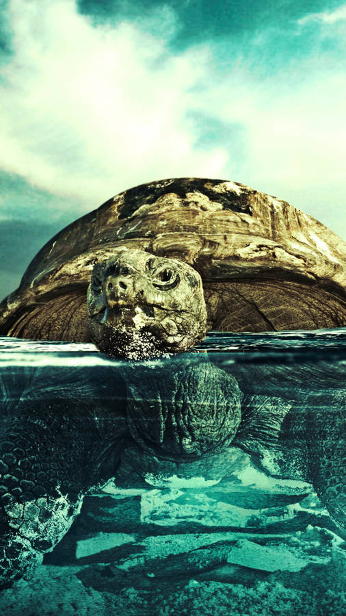 Sea Turtle Digital Art Iphone Wallpaper