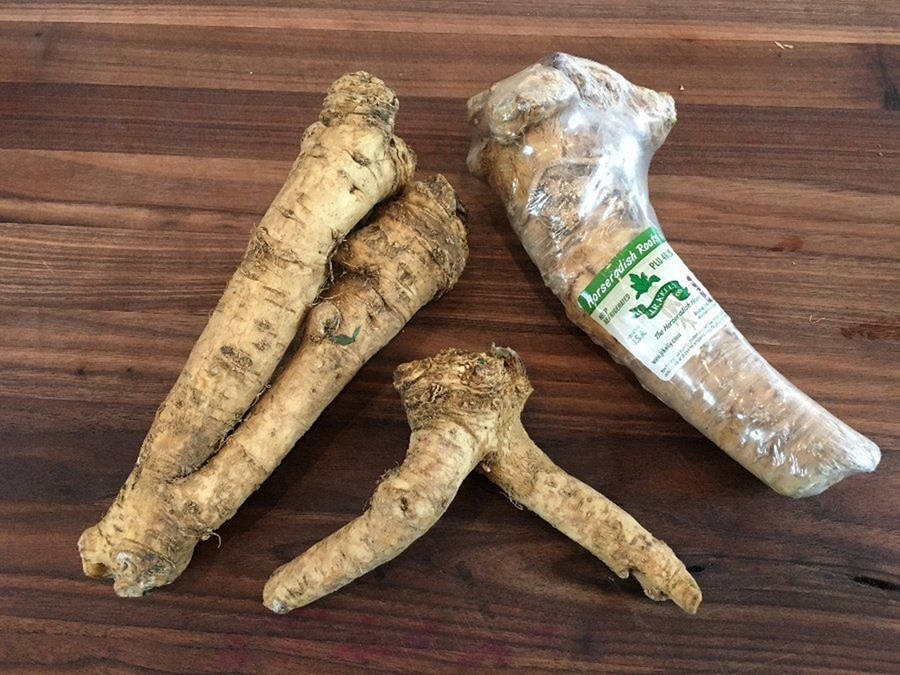 Sealed Horseradish Root Vegetables Wallpaper