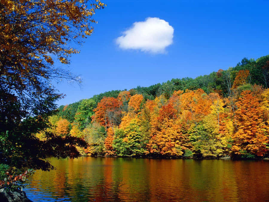 Seasonal Autumn Mountain Lake Trees Wallpaper