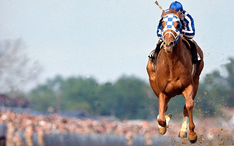 Secretariat Soil Wallpaper