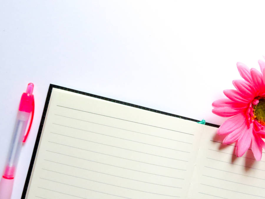 Serene Blank Page With Delicate Pink Flower Wallpaper