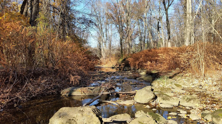 Serene River Flowing Through Nature In New Jersey Wallpaper