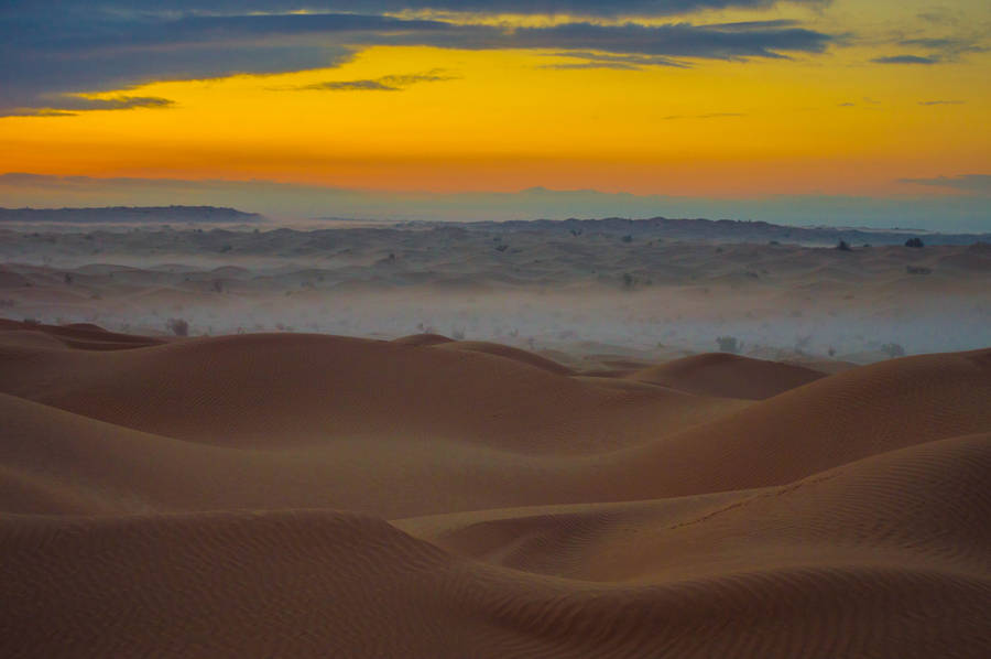 Serene Sahara Desert Wallpaper