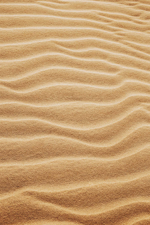 Serene Sandy Beachfront Wallpaper