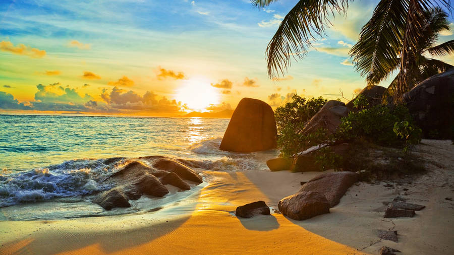 Serene Tropical Beach Front Wallpaper