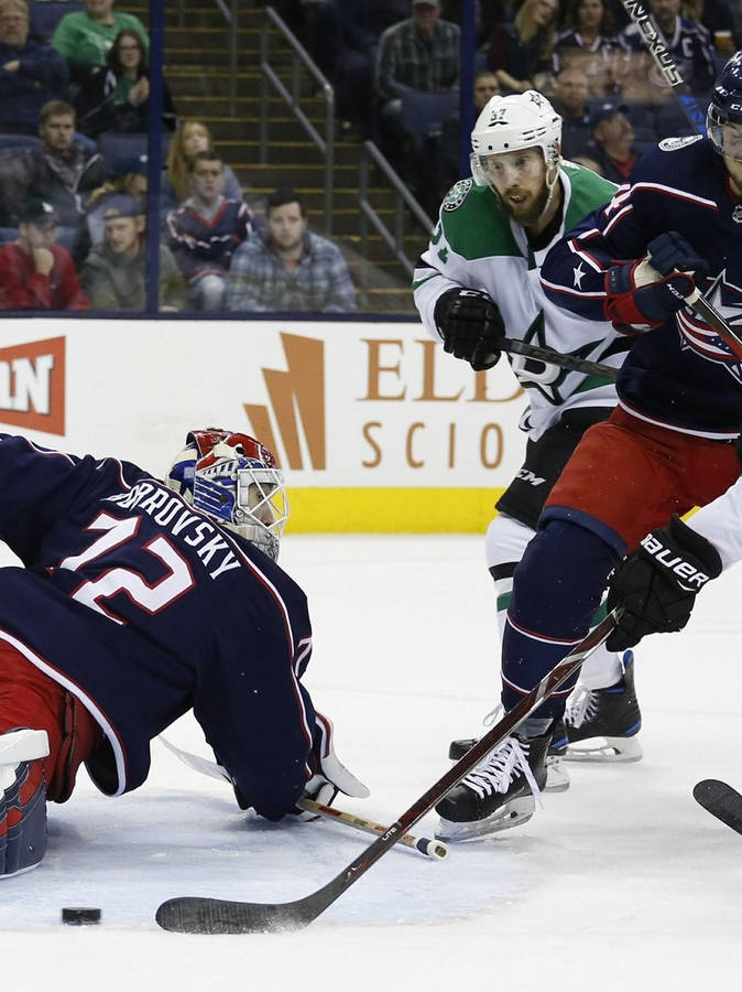 Sergei Bobrovsky Down On The Ground Wallpaper