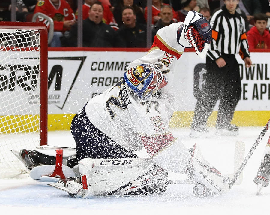 Sergei Bobrovsky Florida Panther Goaltender Wallpaper