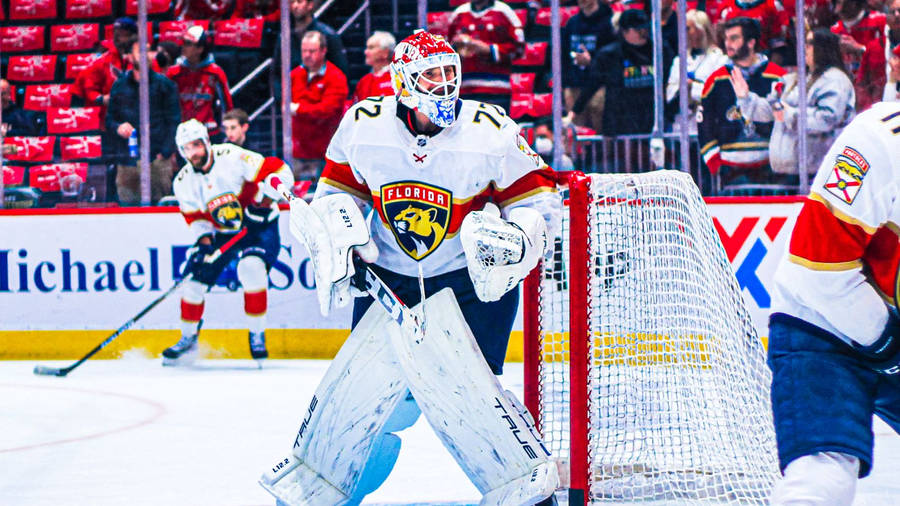 Sergei Bobrovsky In Action, Nhl Top Goalie Wallpaper