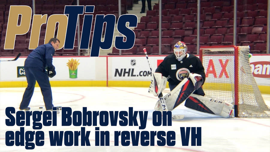 Sergei Bobrovsky Protips Poster Artwork Wallpaper