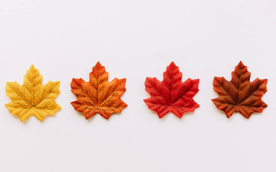 Series Of Maples Leaves Wallpaper