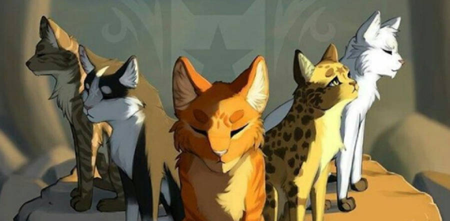 Serious Faces Of Warrior Cats Wallpaper