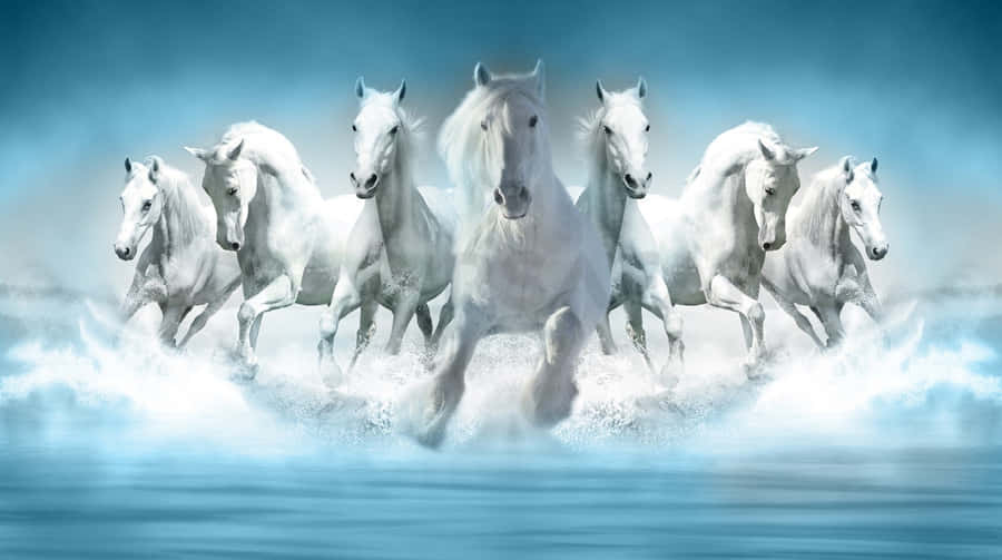 Seven White Horses Galloping Wallpaper