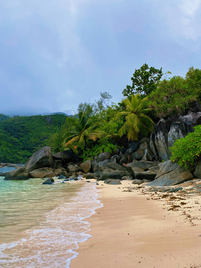 Seychelles Mahe Island Shore Wallpaper