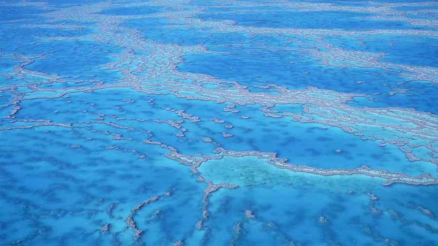 Shallow Great Barrier Reef Wallpaper