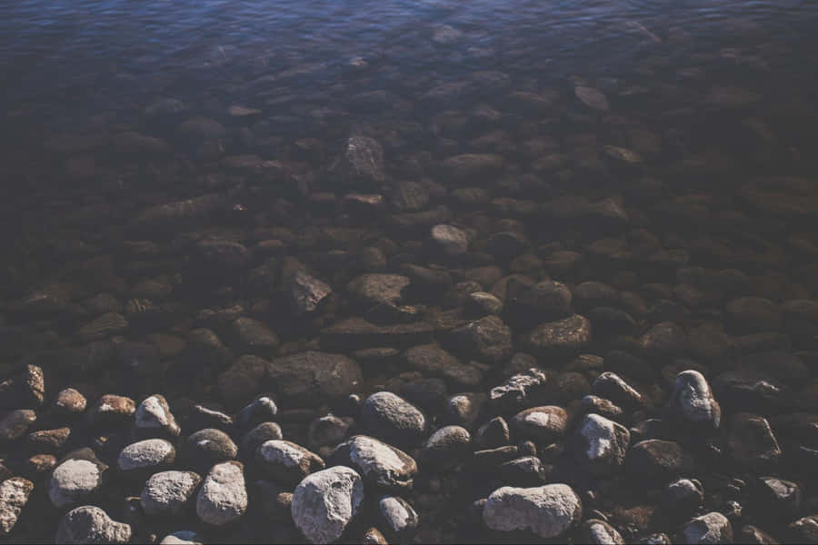 Shallow River Pebbles Wallpaper