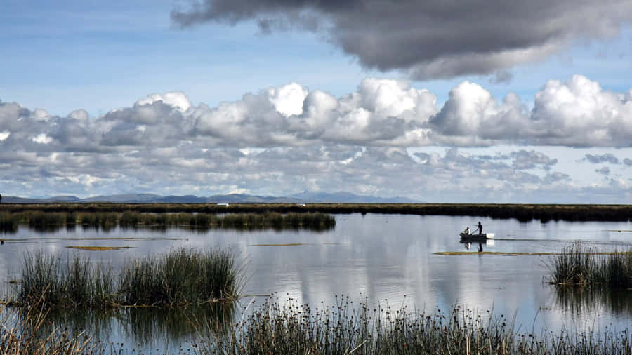 Shallow Wetlands Wallpaper