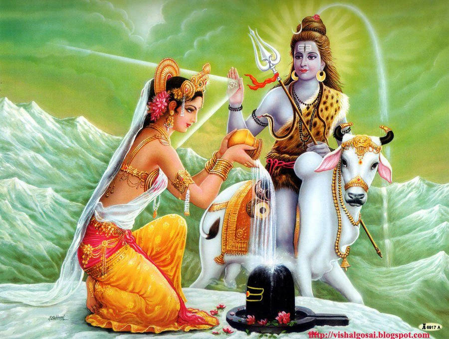 Shankar Bhagwan Green Backdrop White Cow Wallpaper