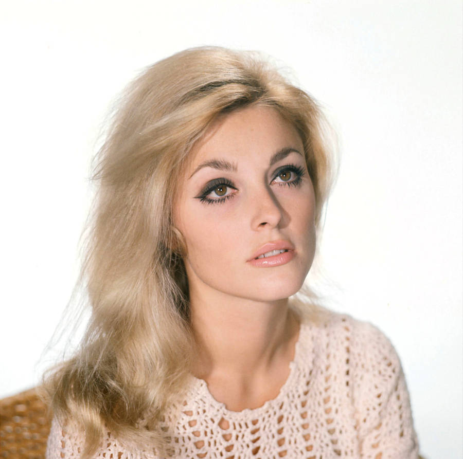 Sharon Tate Angelic Portrait Wallpaper