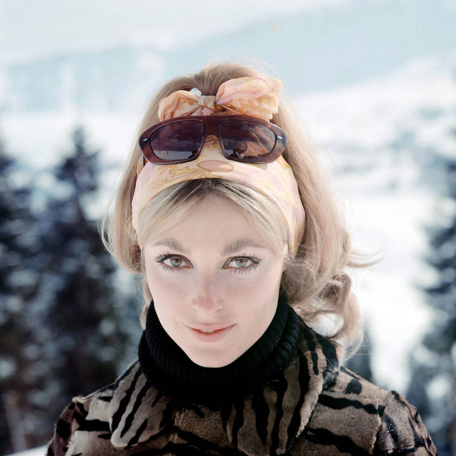 Sharon Tate Darling On Snow Wallpaper