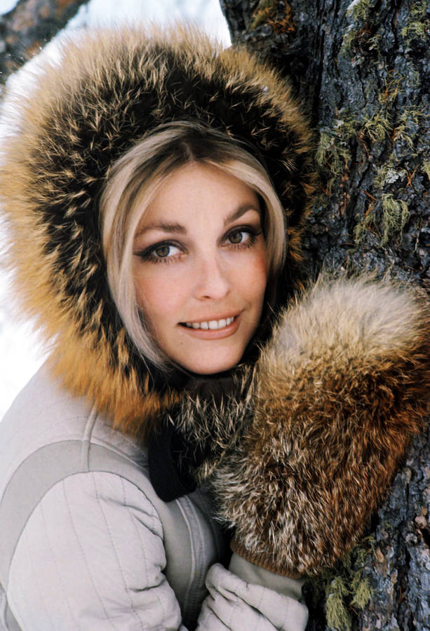 Sharon Tate Snow Tree Wallpaper