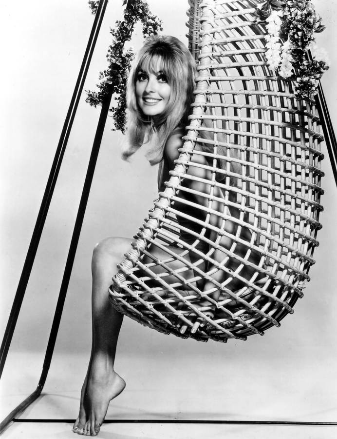 Sharon Tate Tiptoe On Swing Wallpaper